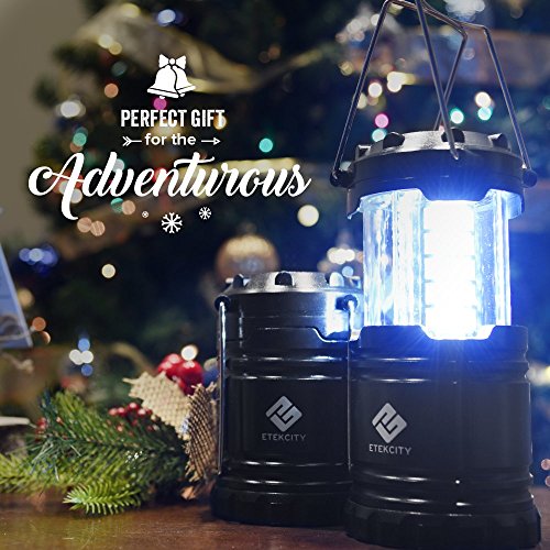 LED Camping Lanterns (4 Count)