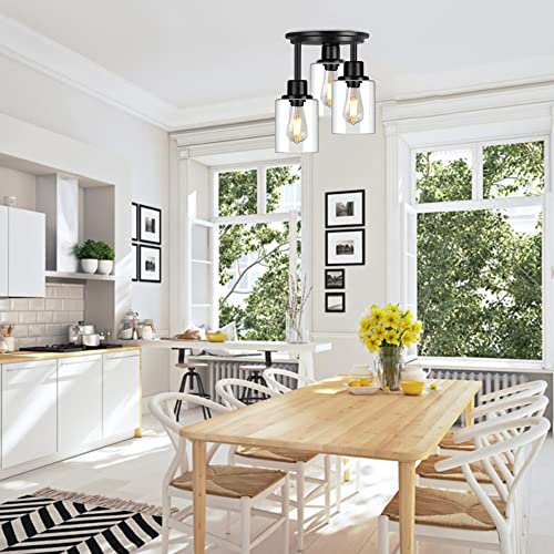 Semi Flush Mount Ceiling Light