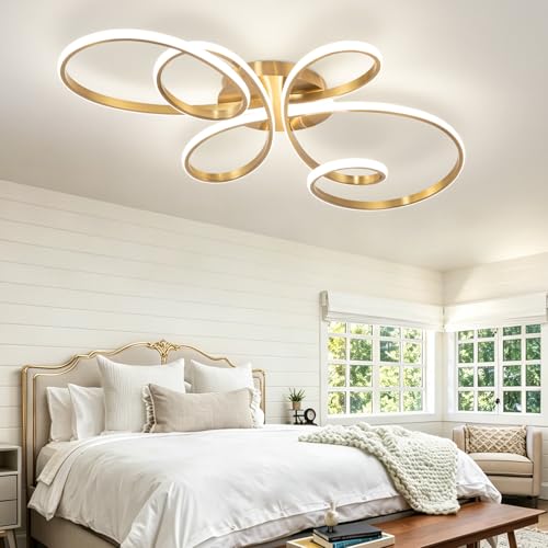 20inch Modern LED Ceiling Light