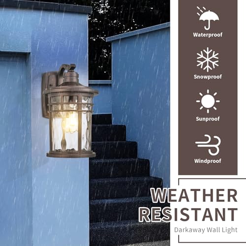 Outdoor Wall Light Fixture