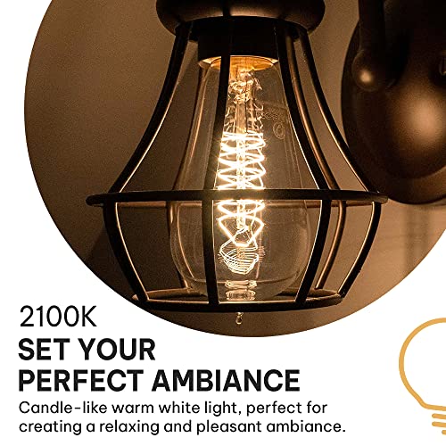 Vintage Incandescent Edison Light Bulbs (4 Count)