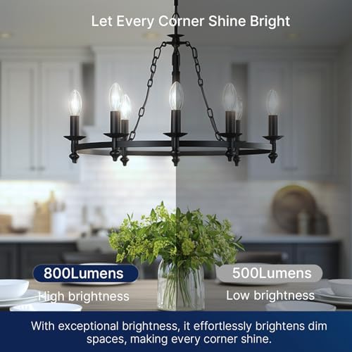 100W Equivalent Candelabra LED Bulbs 5000K Daylight (12 Count)