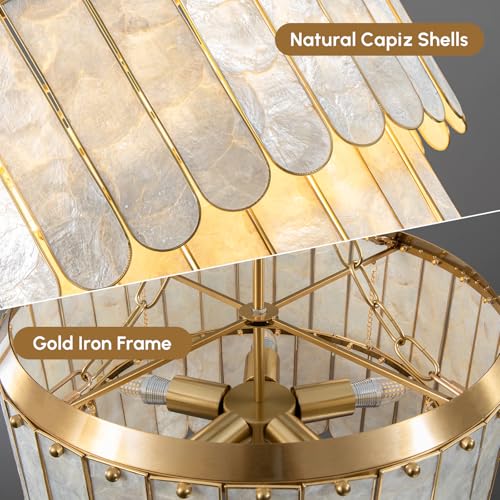 Modern 5 Light Shell Chandelier