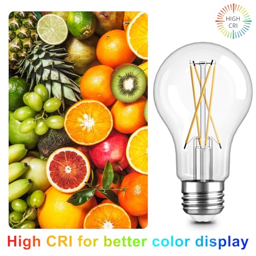 A19 Vintage Dimmable LED Light Bulbs (4 Count)