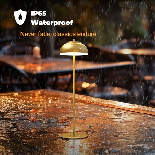 Cordless Table Lamps (2 Count)