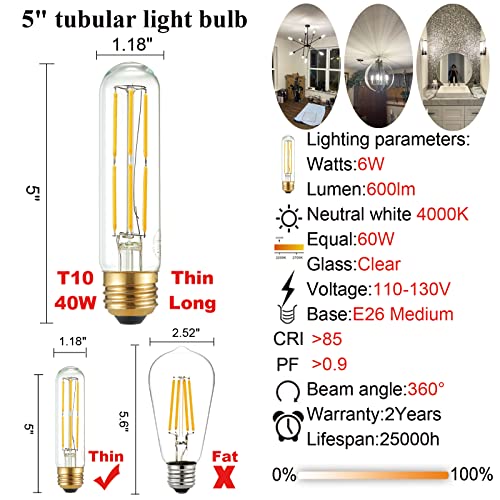 T10 E26 Bulb Edison Light Bulbs (6 Count)
