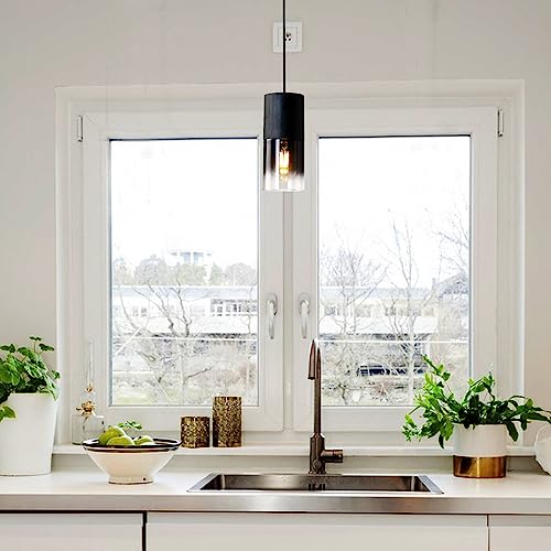 2 Pack Black Pendant Light Fixtures (2 Count)