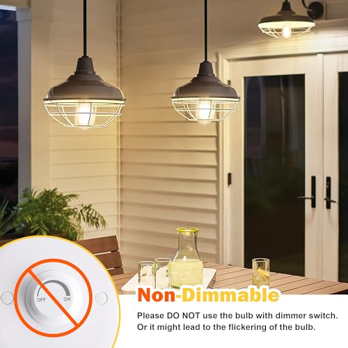 4 Pack Vintage Edison Bulbs 60W Equivalent (4 Count)