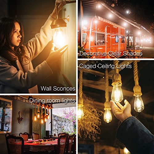 24 Pack Vintage LED Edison Bulbs (24 Count)