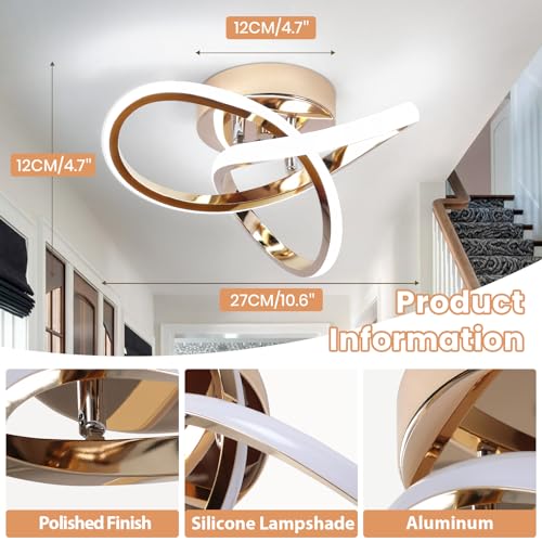 Modern LED Ceiling Light