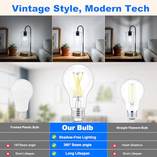 A19 Vintage LED Edison Light Bulbs (12 Count)