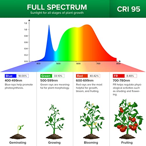 Grow Lights for Indoor Plants