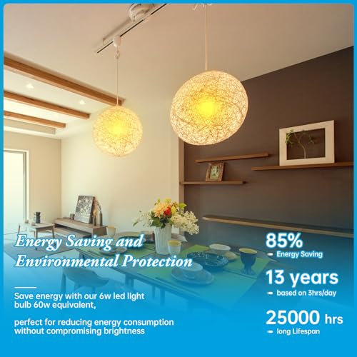 Frosted Globe LED Edison Bulb G30