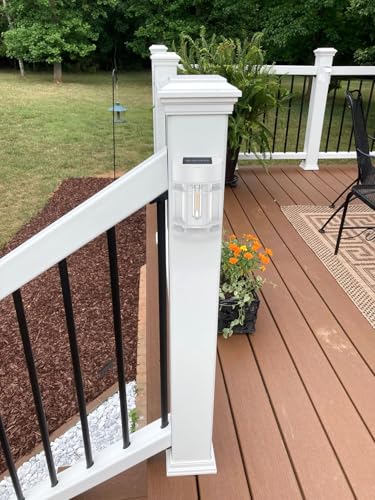 Solar Fence Lights (12 Count)