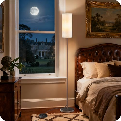 Dimmable Floor Lamps for Living Room with Remote and Foot Switch