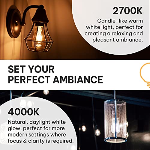 Vintage LED Edison Light Bulbs (6 Count)