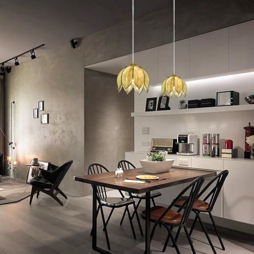 Brass Glass Ceiling Pendant Light