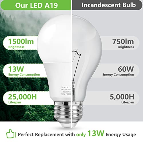 A19 LED Light Bulbs (4 Count)