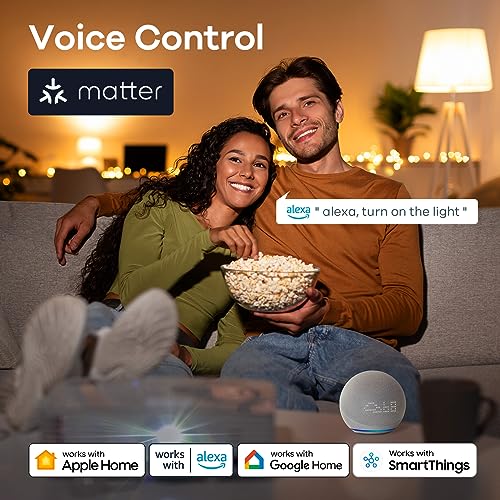 Matter Smart Edison Light Bulbs (4 Count)
