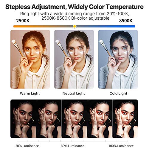 Smartphone Video Rig PICTRON U200 Handheld LED Ring Light Selfie Light
