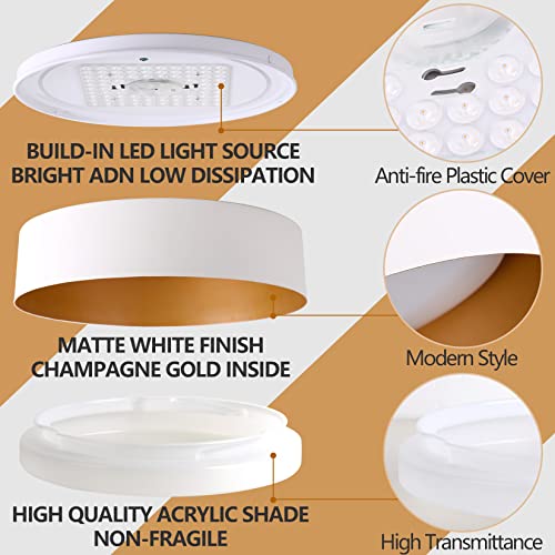 16.5" Flush Mount Ceiling Light