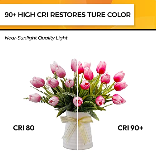 Candelabra Light Bulbs 2700K (12 Count)