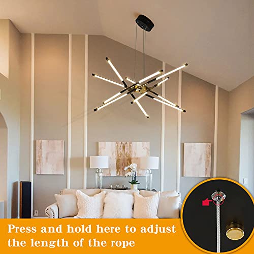 Black and Gold Chandelier