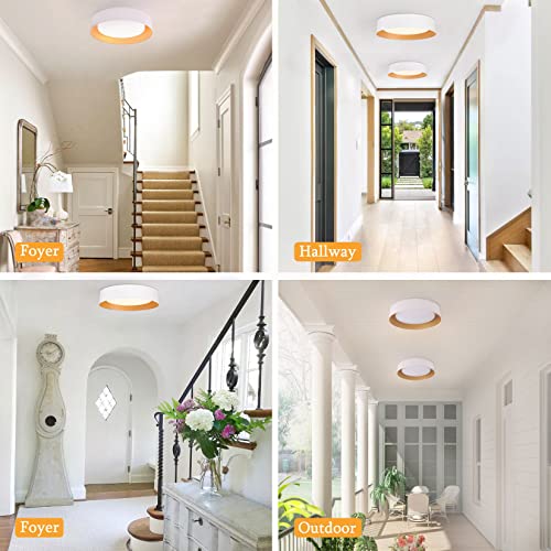 16.5" Flush Mount Ceiling Light