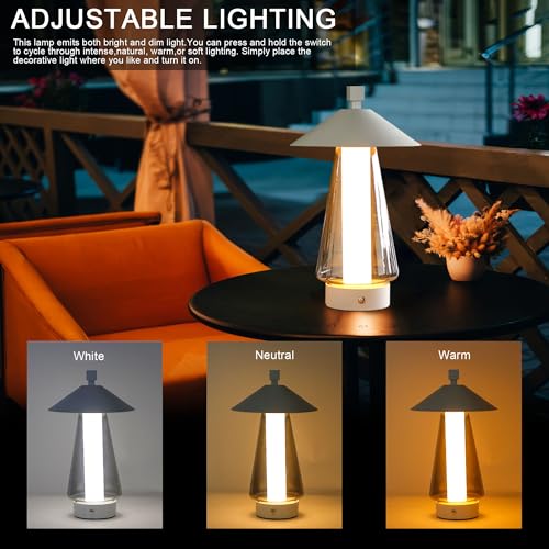 Set of 2 Stepless Dimmable Bedside Lamp 12" H LED Touch Table Lamp Nightstand Lamp with Grey Anodized Glass lampshade for Bedroom Living Room Indoors Outdoors（White (2 Count)