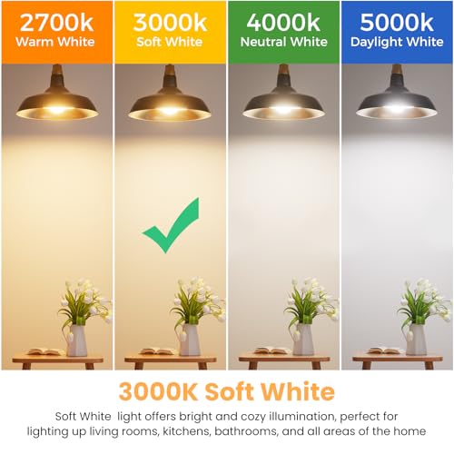 6 Pack A19 LED Light Bulbs (6 Count)