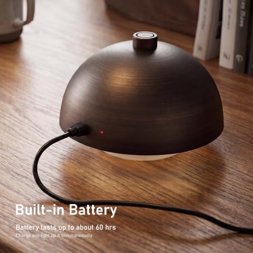 Cordless Modern Desk Lamp