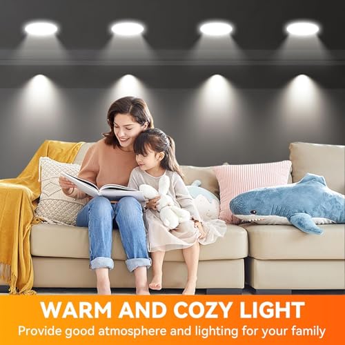 12Pack BR30 Flood Light Bulb Indoor (12 Count)