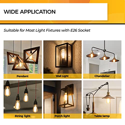 Edison Bulbs Dimmable (12 Count)