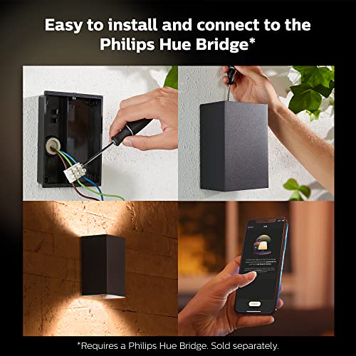 Resonate Outdoor Smart Wall Light