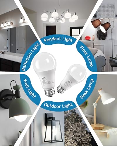 LED Light Bulbs (3 Count)