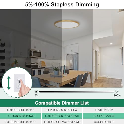 12 Inch LED Flush Mount Ceiling Light Fixture (2 Count)