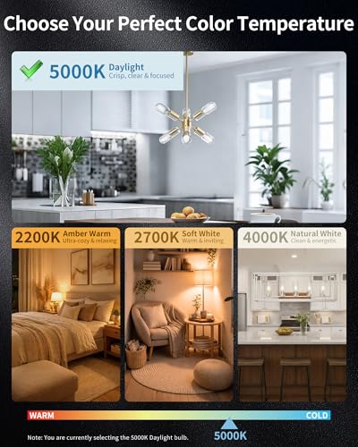 T45 Daylight Edison Bulbs (4 Count)