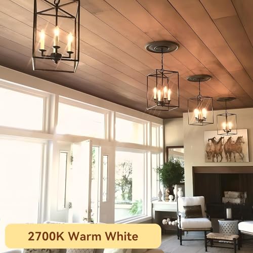 Candelabra LED Bulbs (6 Count)