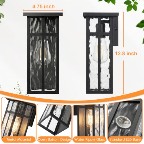 Outdoor Wall Light Fixtures (2 Count)