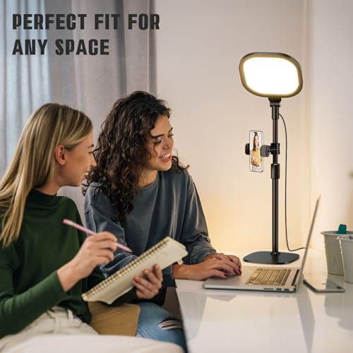 2 Packs Video Conference Lighting Kits (2 Count)