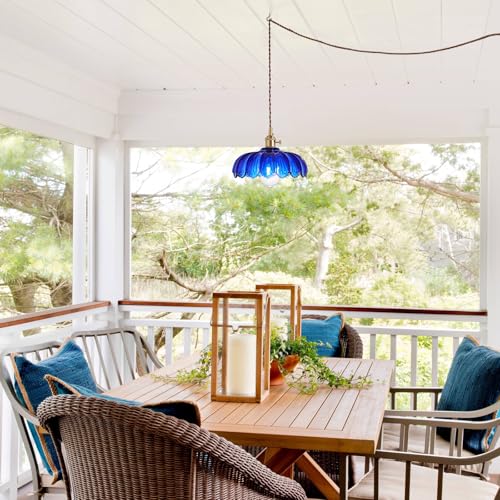 Plug in Pendant Light