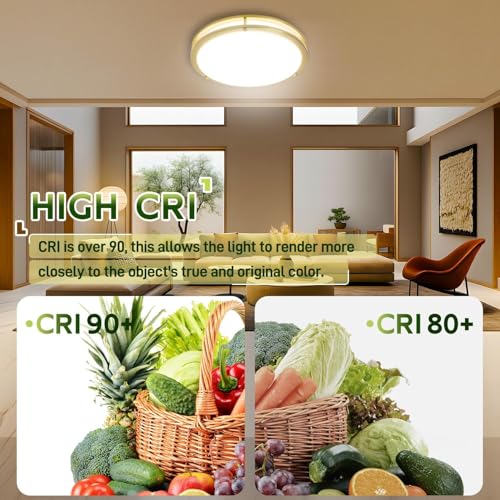 16 inch Dimmable LED Flush Mount Ceiling Light Fixture