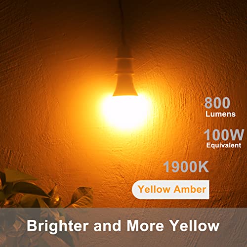 Dusk to Dawn Light Bulbs (4 Count)
