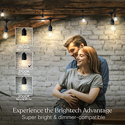 Ambience Pro 24 Ft Waterproof LED Outdoor String Lights (24 Foot)