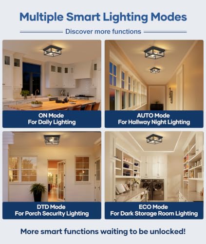 Motion Sensor Outdoor Ceiling Light with Remote