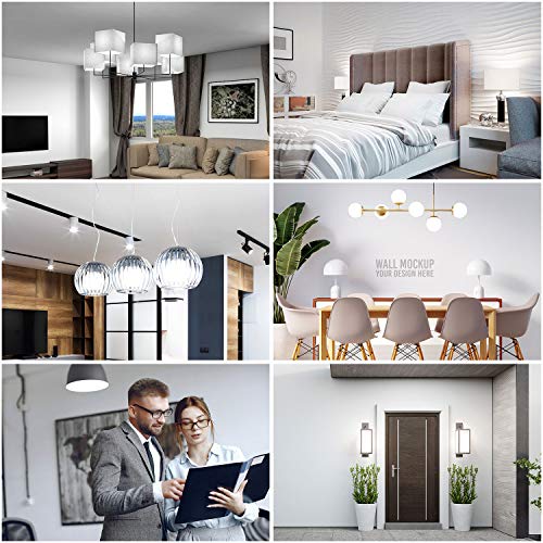 A19 LED Light Bulbs (6 Count)