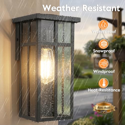 Outdoor Wall Light Fixtures (2 Count)