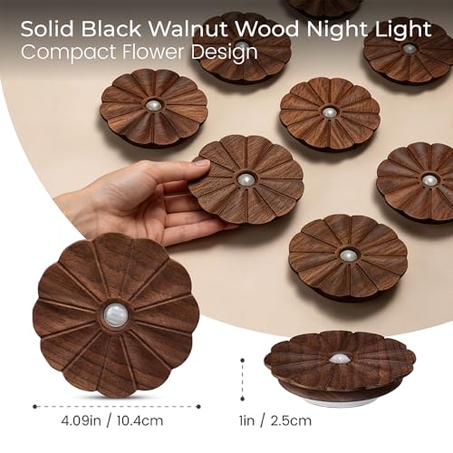 Motion Sensor Night Light Indoor