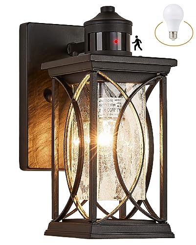 Motion Sensor Outdoor Wall Light with Dimmable Bulb