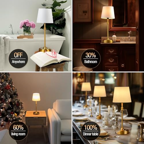 Cordless Lamp